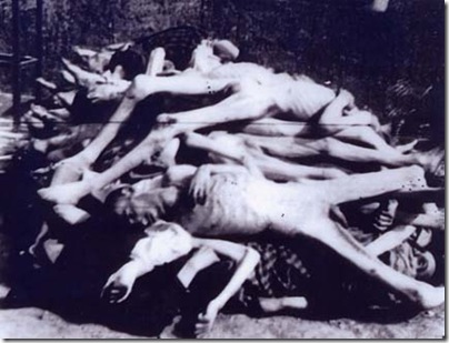 Bodies2