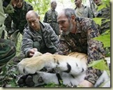 putin tiger 1
