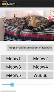How to install Meow! patch 4.1 apk for android