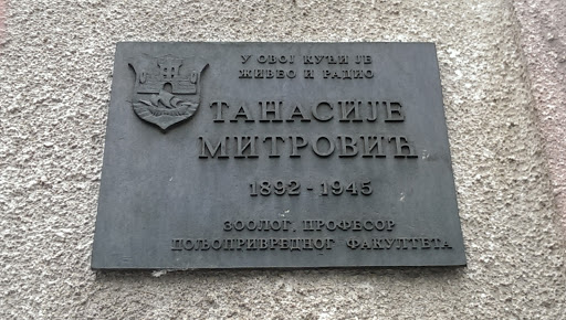 Tanasije Mitrovic Memorial