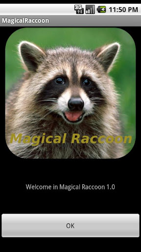 Magical Raccoon