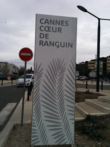 Cannes Coeur De Ranguin