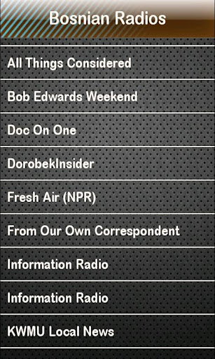 Bosnian Radio Bosnian Radios