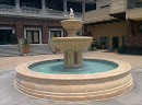 Cielo Village Fountain