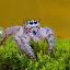 please give me.... by Indra Noviardi - Animals Insects & Spiders