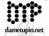 Dametupinnet