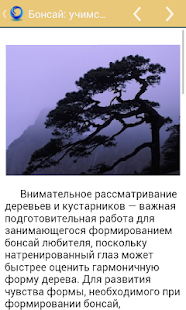 How to download Бонсай 2.9.0 mod apk for pc