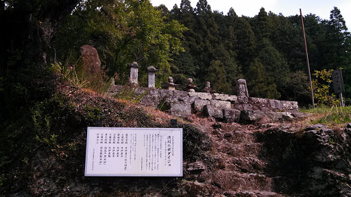 渋川のボダイジュと井伊氏の墓