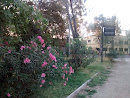 Jardines Diagonal Vicuña Mackenna