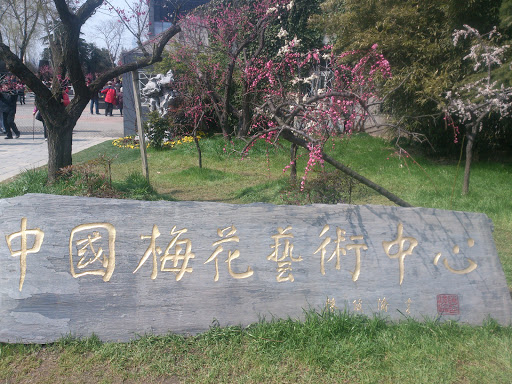 中國梅花藝術中心
