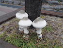 Big Three Mushrooms