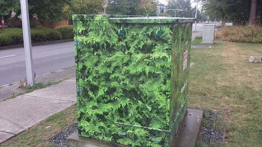 Big Leafy Utility Box