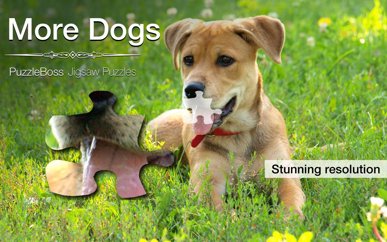 Android application Jigsaw Puzzles: More Dogs screenshort