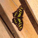 Malachite