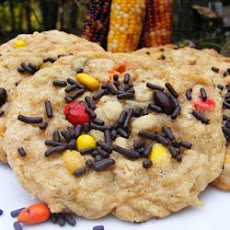 Sunflower Oatmeal Cookies