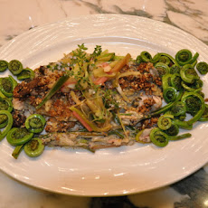 Spring Fling Trout