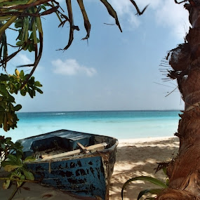 Caribbean Beach by Martin Thomas - Travel Places