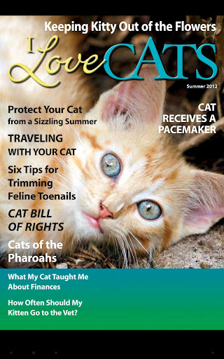 I Love Cats Magazine