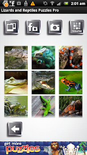 How to download Lizards & Reptiles Puzzles Pro Varies with device apk for bluestacks