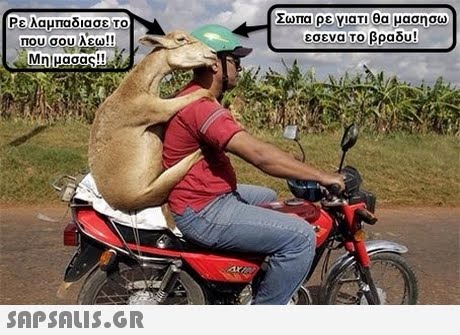 Σωπα ρε γιατι θα μασησω Ρε λαμπαδιασε Το που σου λεω!! εσενα το βράδυ! 