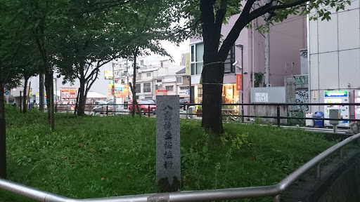 Portal - 八重枝垂桜植樹