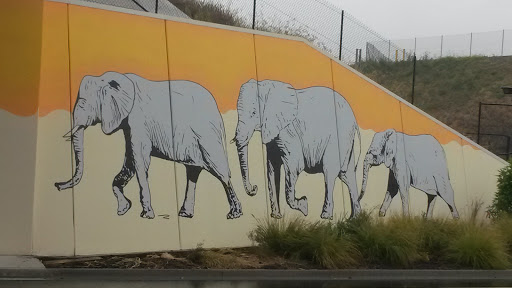 Elephant Family Mural Springfield Central Station