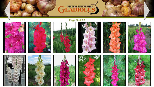 Peeters Gladiola Viewer