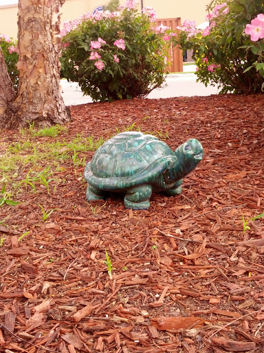 OCR's Green Turtle Guardian