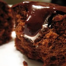 Chocoholic's Cupcakes