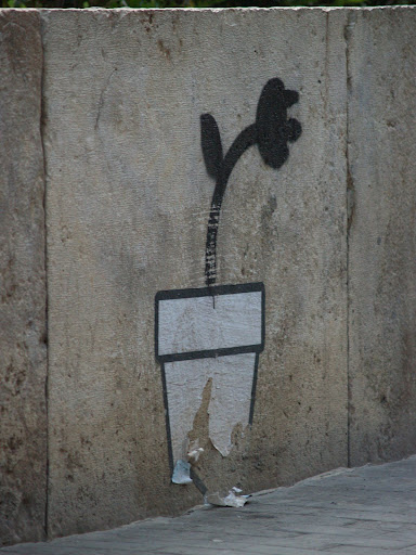 http://lh3.ggpht.com/wardlampaert/RxCjeEQmQqI/AAAAAAAAAPE/sjxgTrhOy4s/P1012970.jpg?imgmax=512