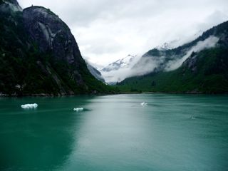 P1000373_2.jpg