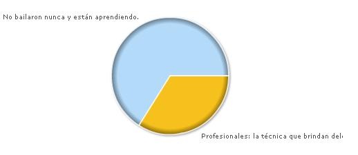 [EncuestaPrincipiantesProfesionales[5].jpg]