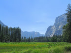 Lush green meadows