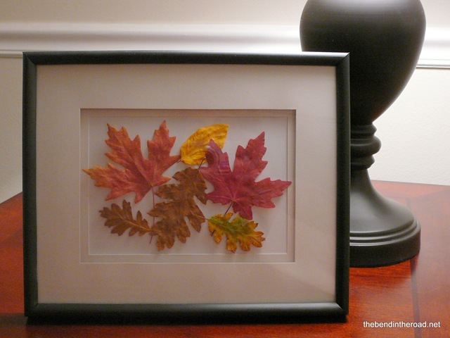 [Framed Fall Leaves-1[5].jpg]