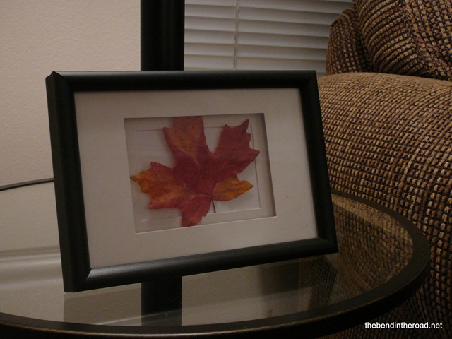 [Framed Maple Leaf-1[4].jpg]