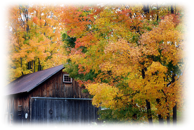 [AutumnBarn3.png]