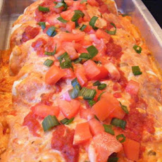 Sour Cream Chicken Enchiladas