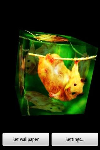 3D cute hamster