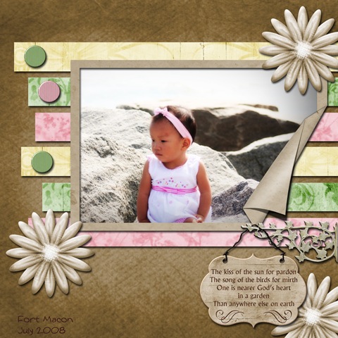 [fortmacon2008[2].jpg]