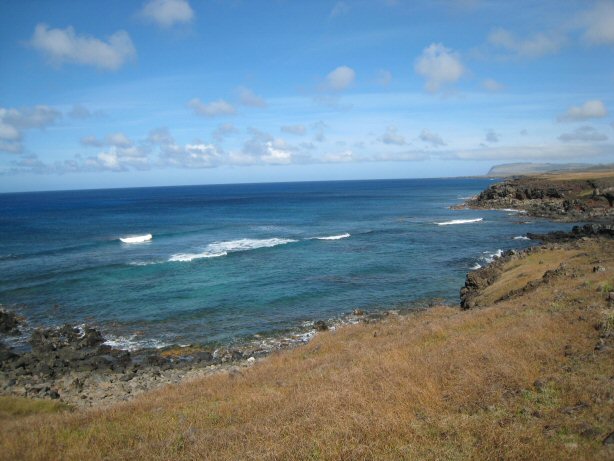 [IMG_8440.JPG]