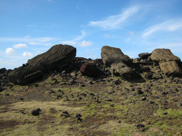 [IMG_8436.JPG]