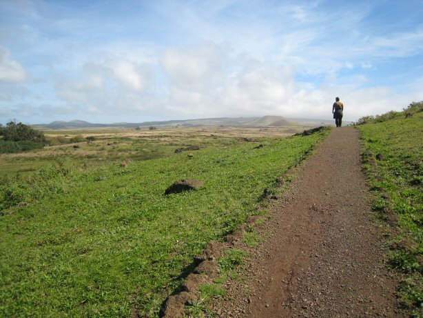 [IMG_8467.JPG]