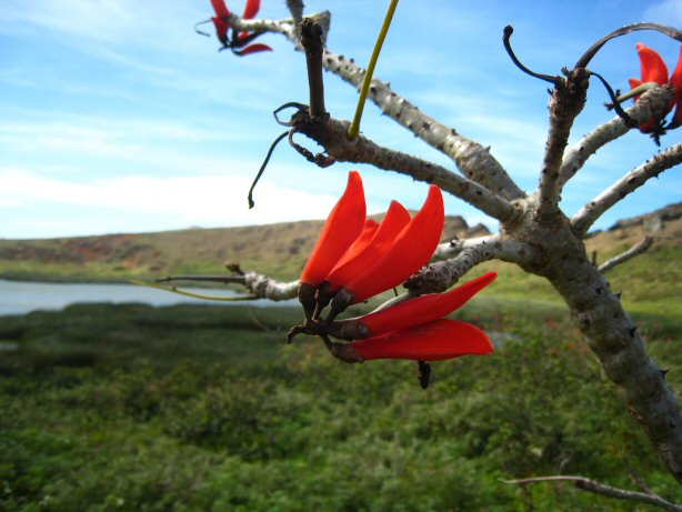 [IMG_8472.JPG]