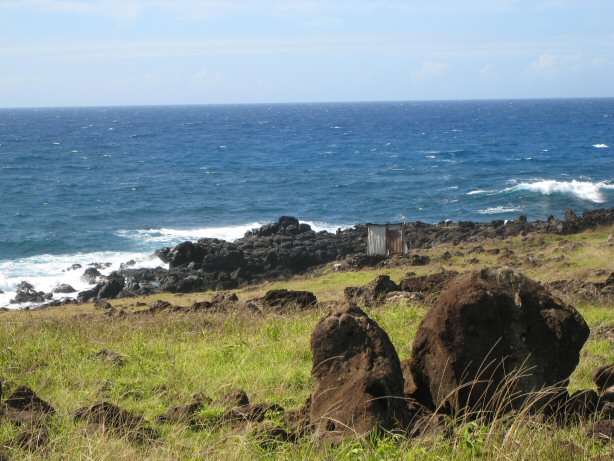 [IMG_8579.JPG]