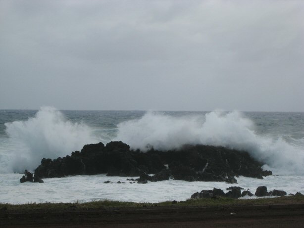 [IMG_8681.JPG]