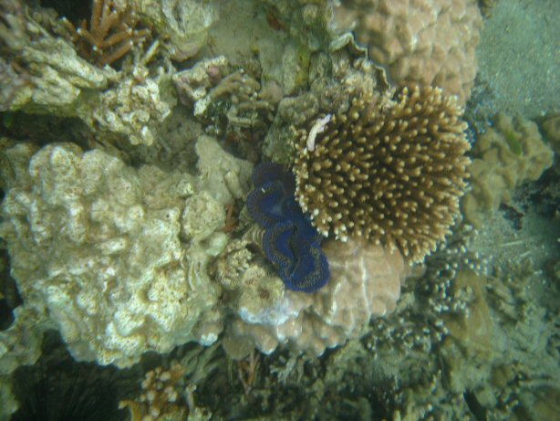 [IMG_9322.JPG]