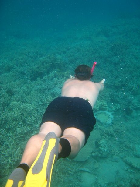 [IMG_9342.JPG]