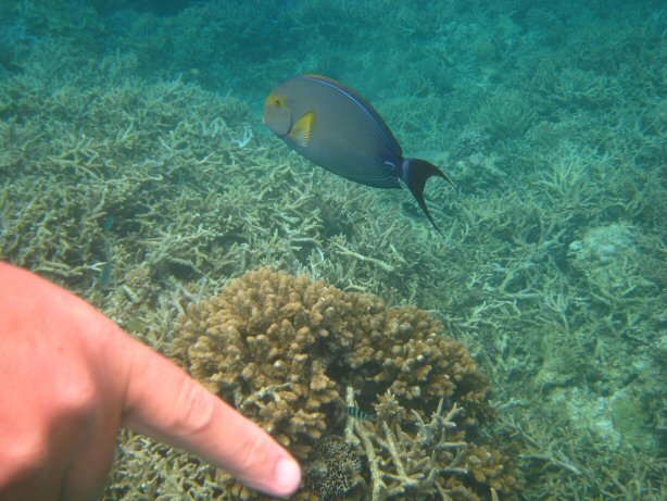 [IMG_9348.JPG]