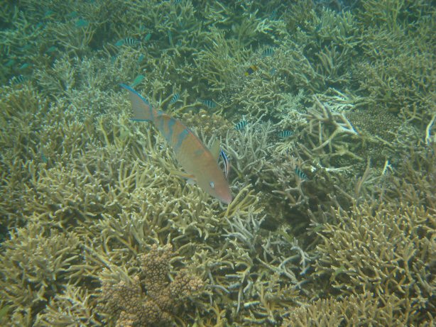 [IMG_9360.JPG]