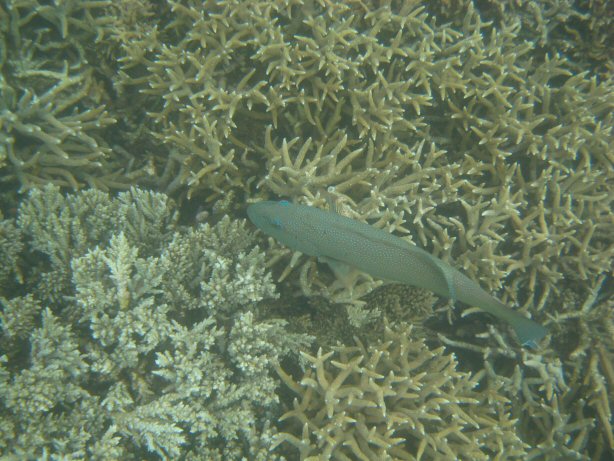 [IMG_9404.JPG]